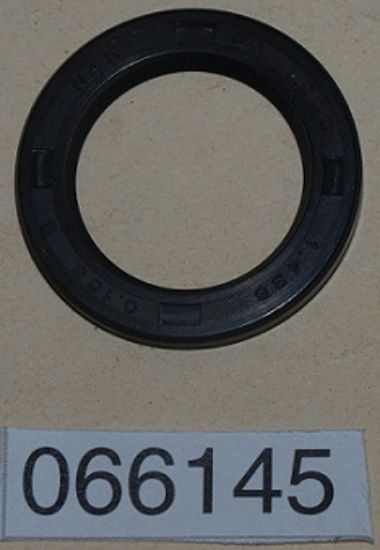 Picture of Oil seal : Kick start shaft