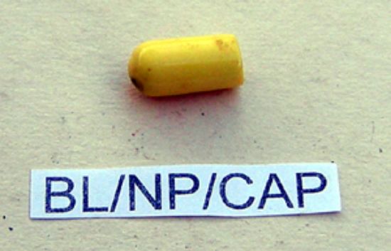 Picture of Brake caliper sealing cap