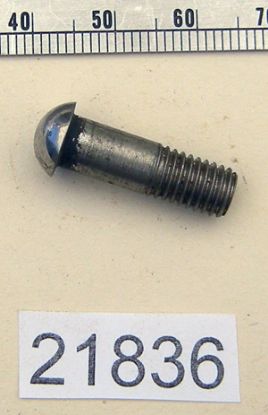 Picture of Handlebar lever pivot pin and nut