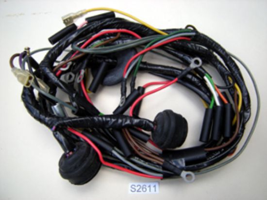 Picture of Wiring loom : Electra : No switch sockets!