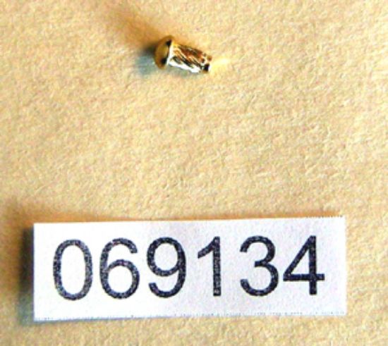 Picture of Fork badge screw