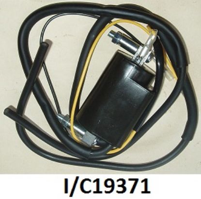 Picture of Ignition coil : Dual output : 12 volt