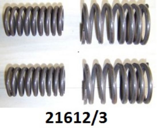 Picture of Valve springs : Engine set : OHV