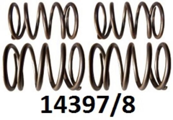Picture of Valve springs : Engine set : OHV :1935-1959