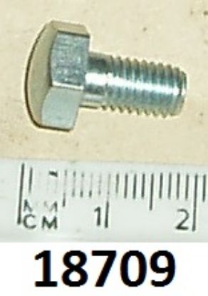Picture of Bolt : Various positions : Domed head : Plated