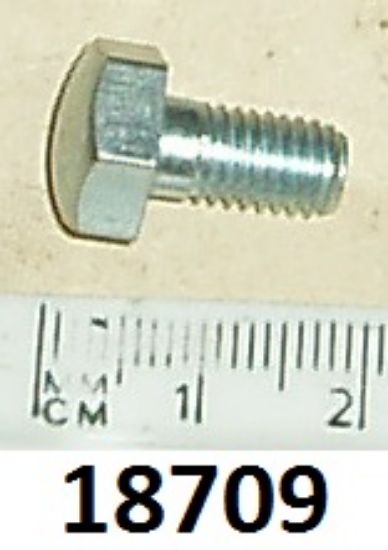 Picture of Bolt : Various positions : Plated