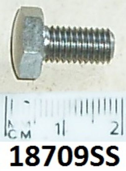 Picture of Bolt : Various positions : Domed head : Stainless steel
