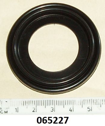 Picture of Seal assembly : Swinging arm : 1974 onwards : Core plug type