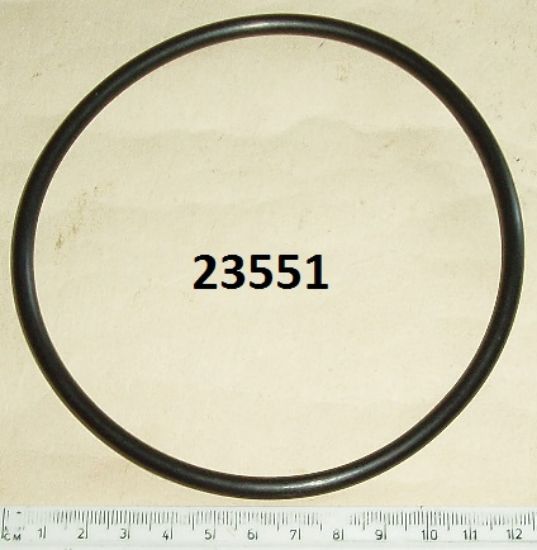 Picture of O ring : Battery retaining : Standard models