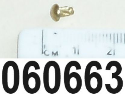 Picture of Screw : Hammer drive : Ignition indicator plate : Primary drive outer cover